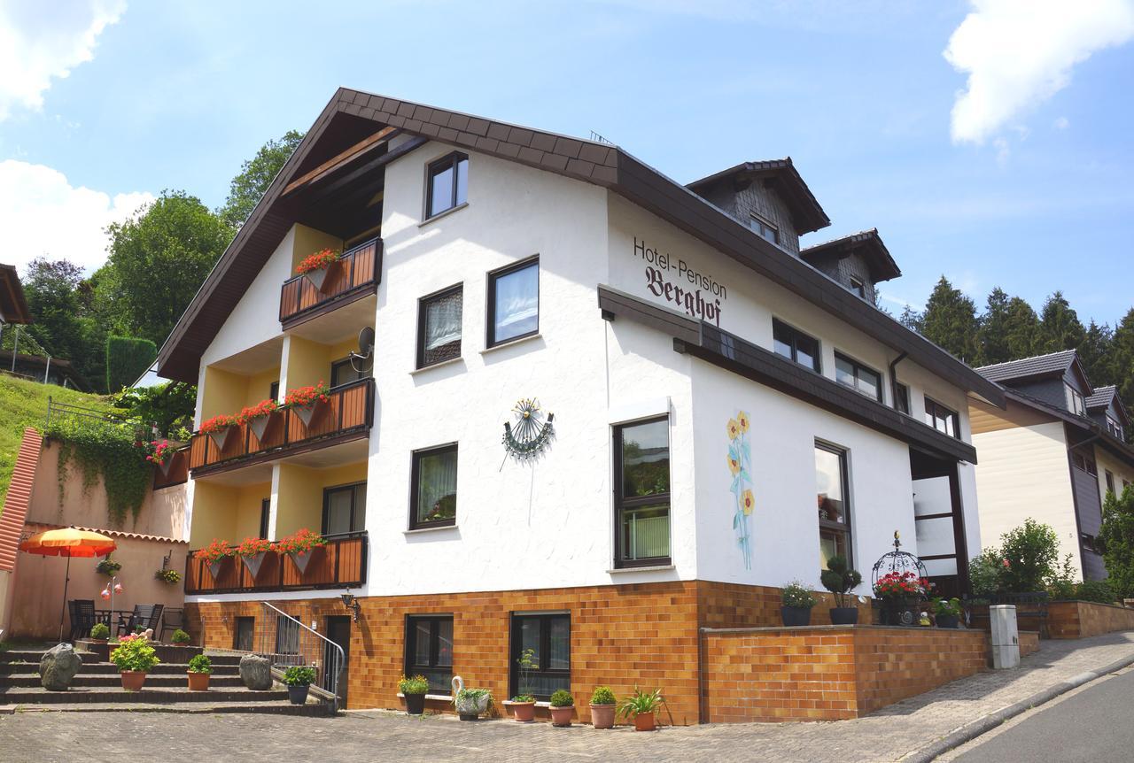Hotel Garni Berghof Heigenbruecken Exterior photo